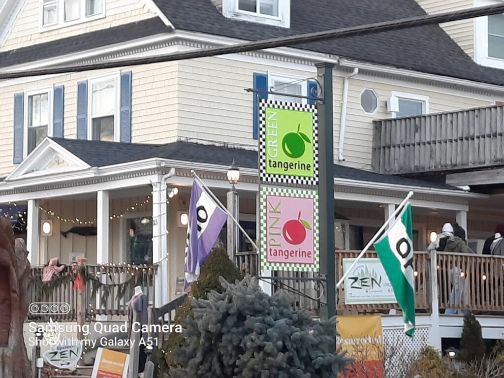 Lower Village Survey Co. Inc