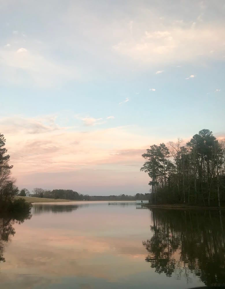 Byrd Charles Land Timber