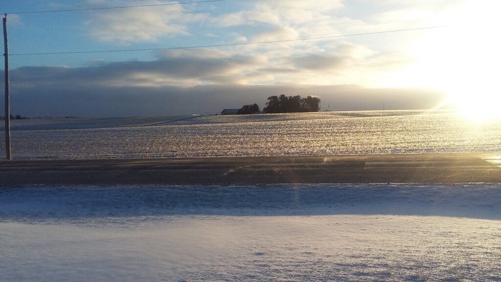 Schneider Land Surveying