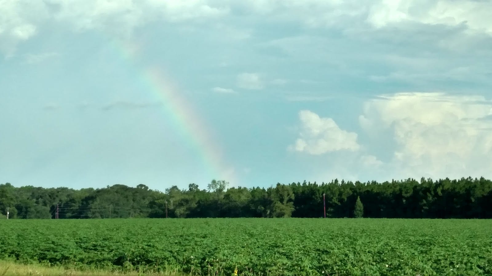 Califf Surveying and Mapping LLC