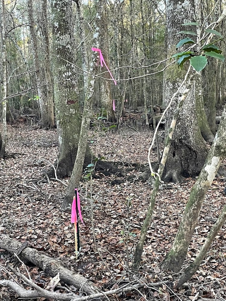 McCann Land Surveyors