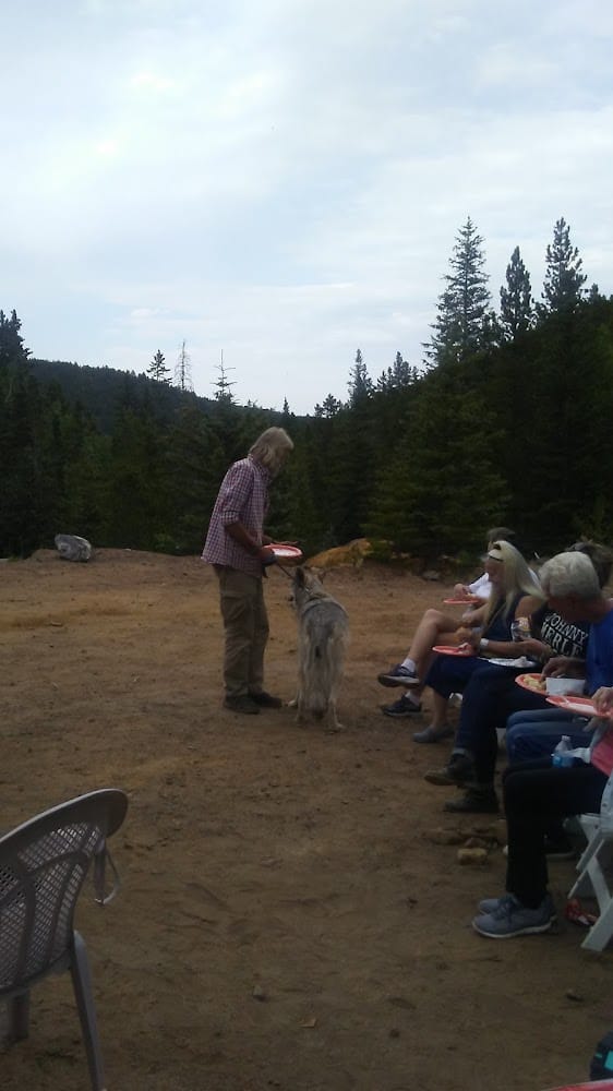 Clear Creek Surveying