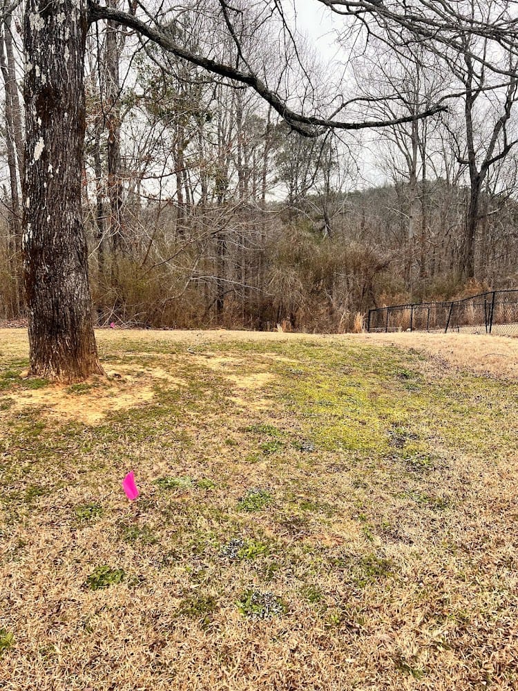 EKD Professional Land Surveying