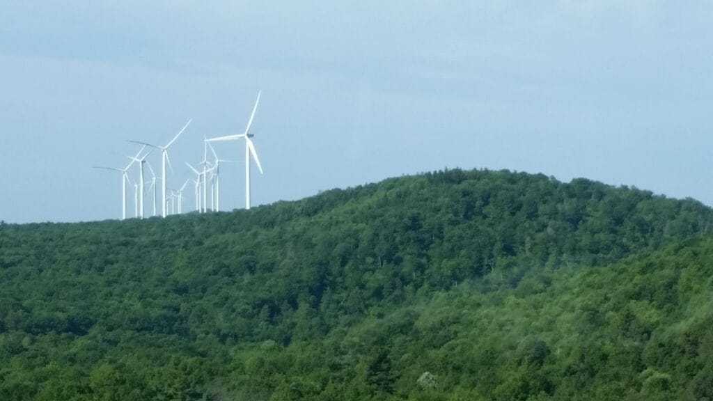 Western Maryland Associates Inc