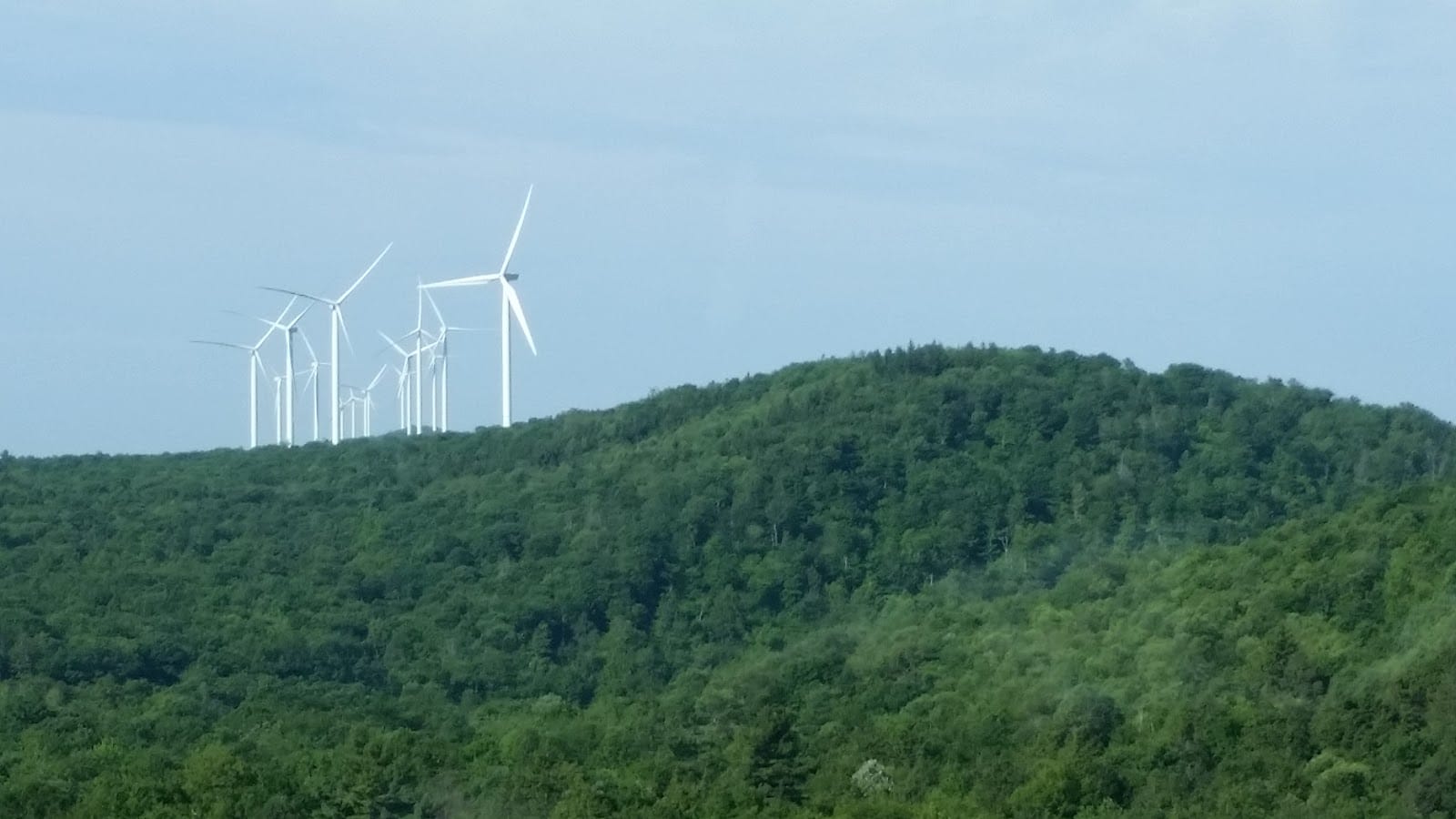 Western Maryland Associates Inc