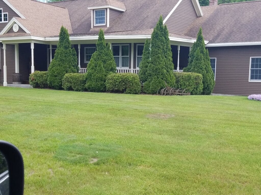 Norway Plains Associates Inc