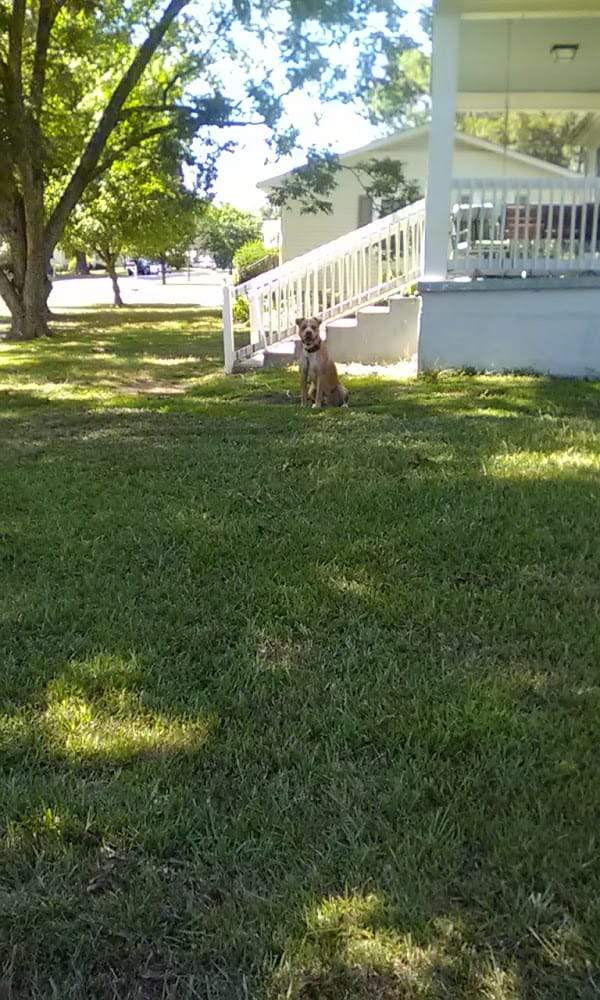 Ben Gentry Land Surveyor