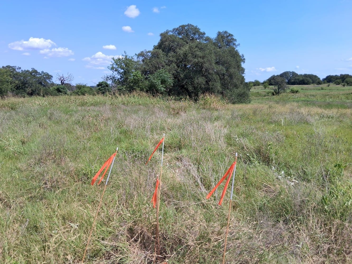 Texas Land Surveyors