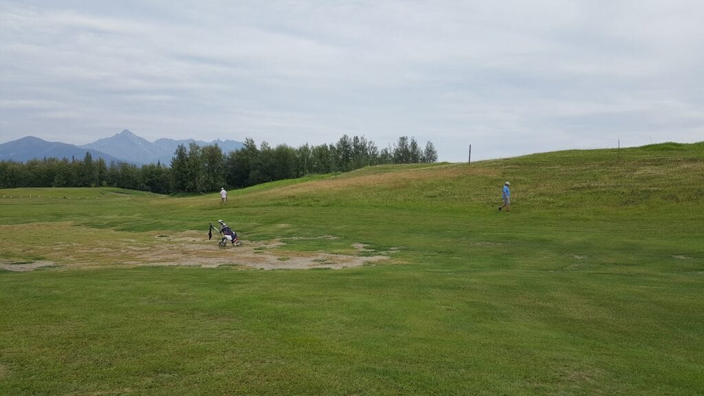 Cottini Land Surveying