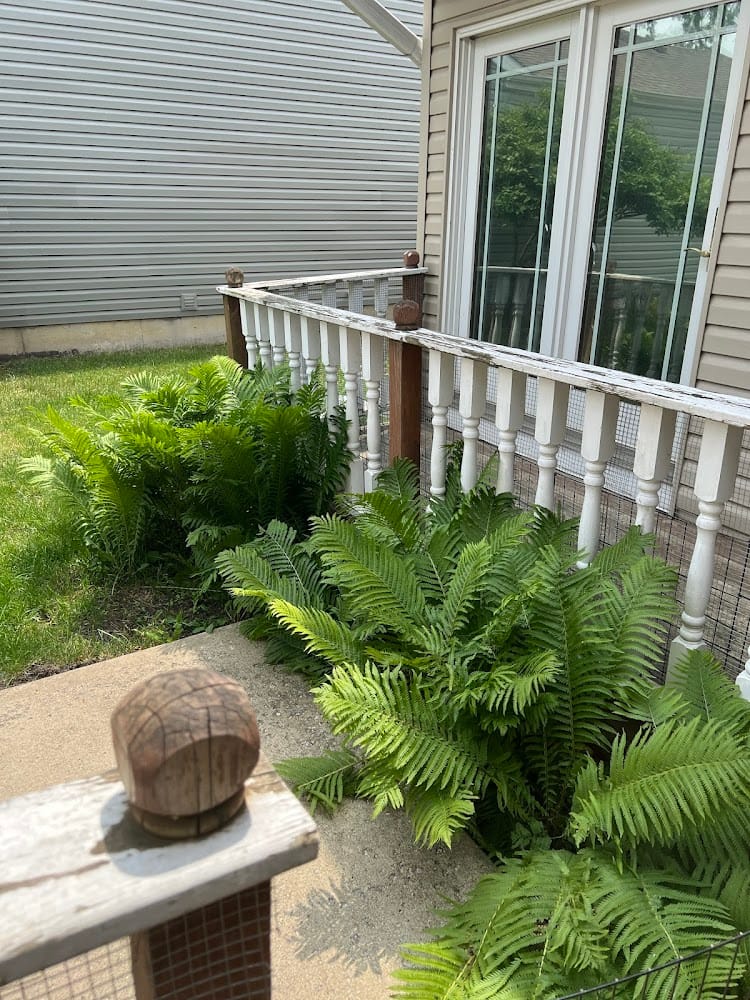 Polena Engineering LLC