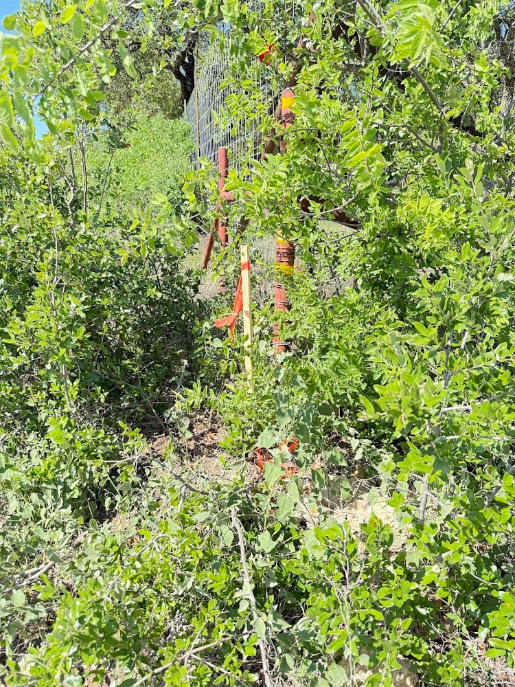 Cuplin & Associates Land Surveyors