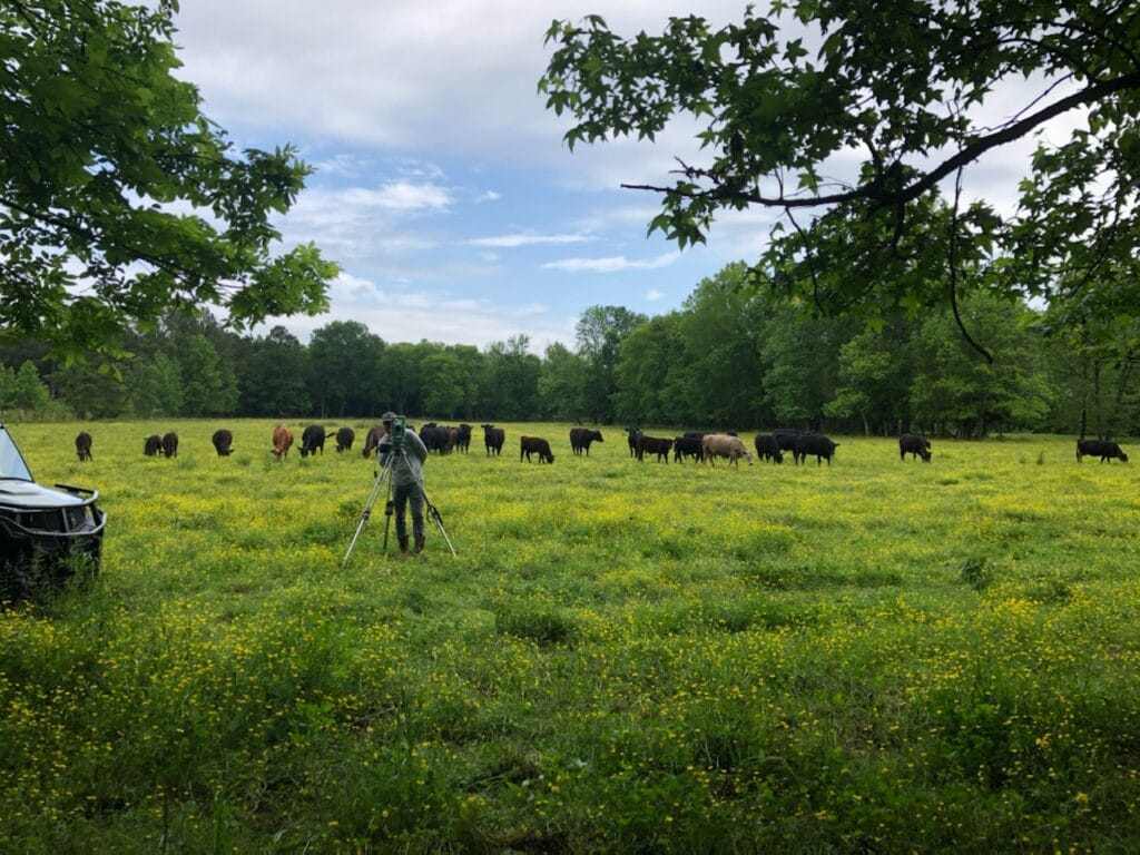North Georgia Surveying