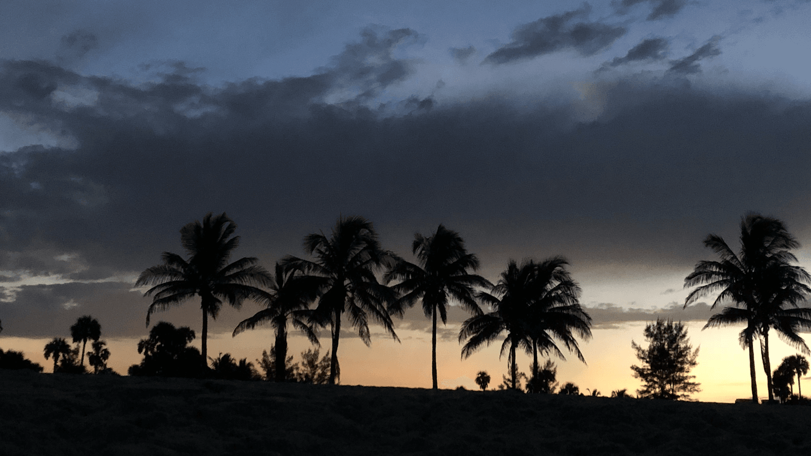 Principal Meridian Surveying