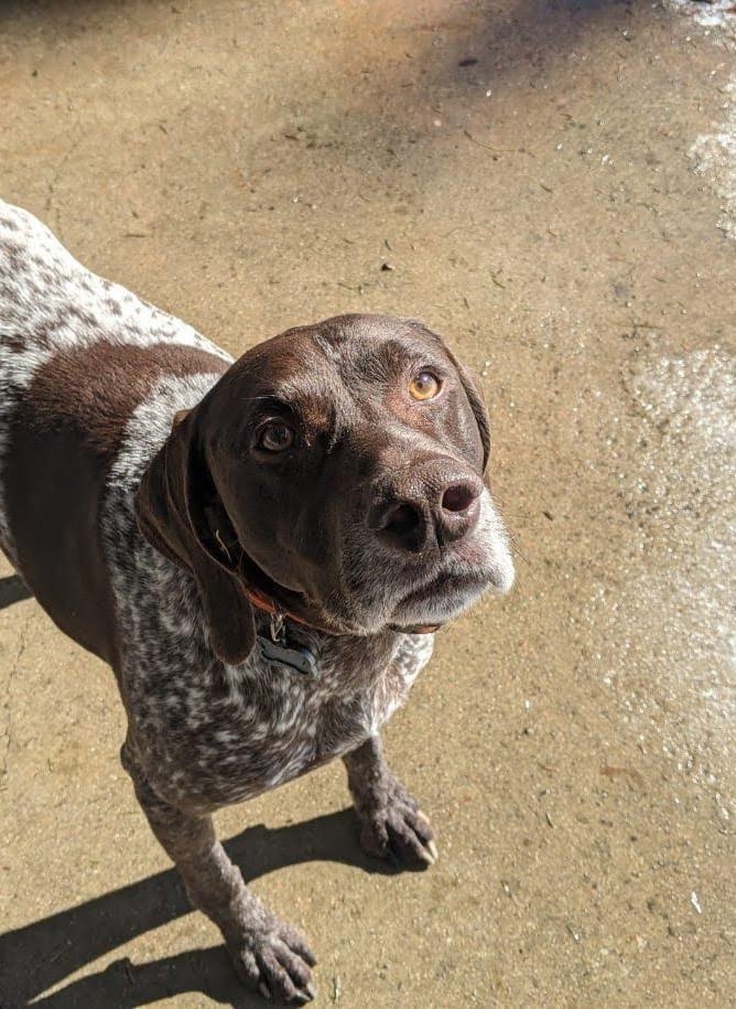 Jay Engineering and Survey