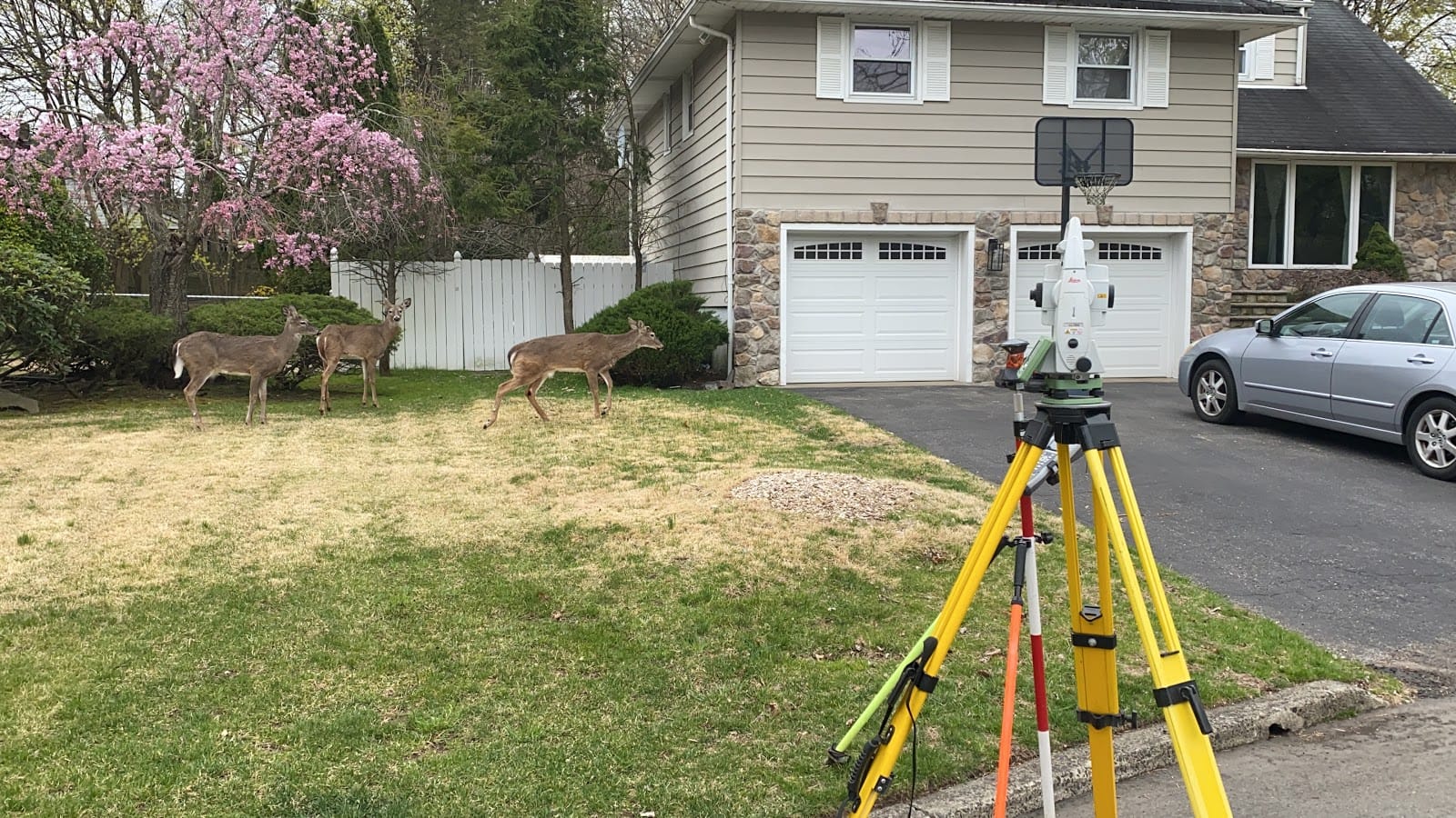 Geospatial Surveying and Layout