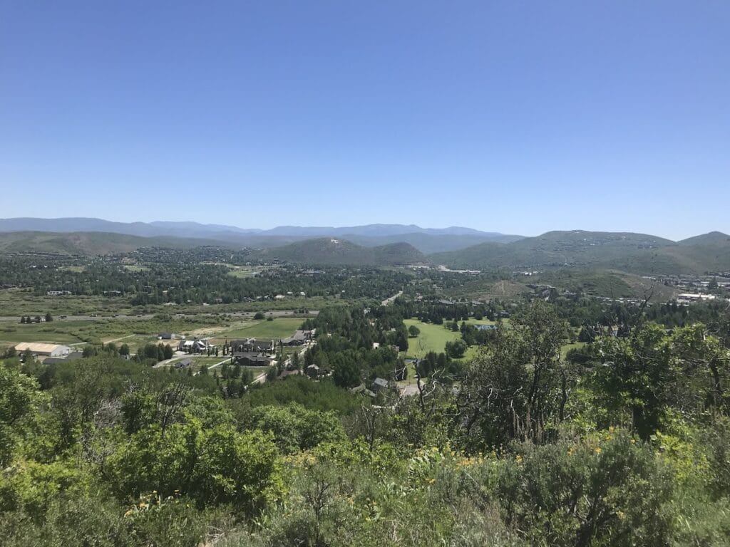 Element Land Surveying