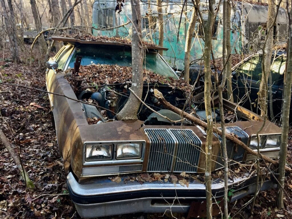 True Meridian Land Surveyors