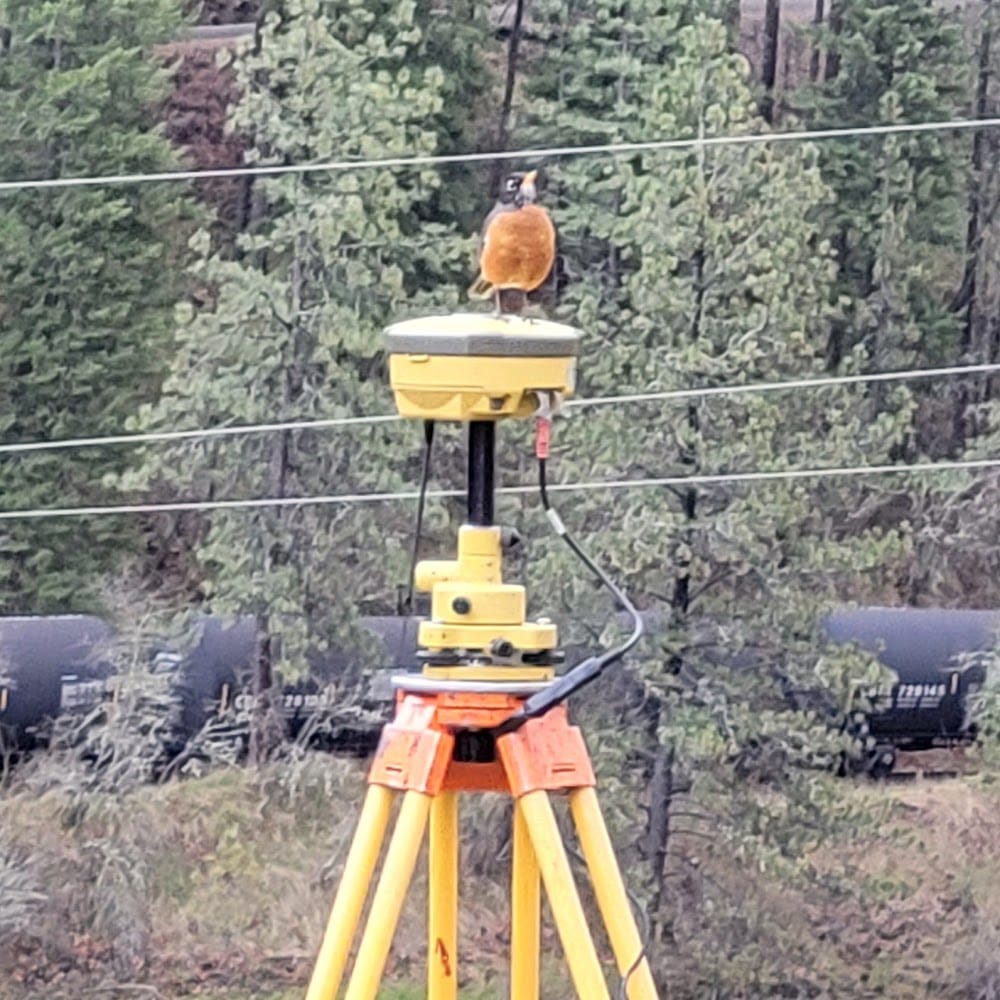 Bearing-Distance Surveying and Mapping PLLC