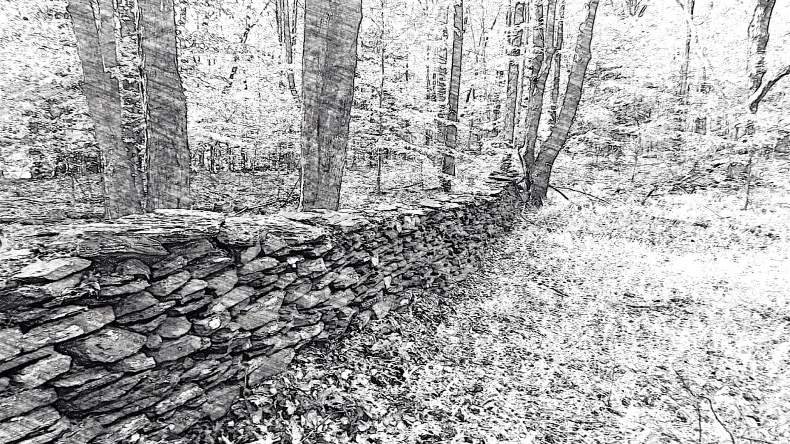 Lesch Land Surveying