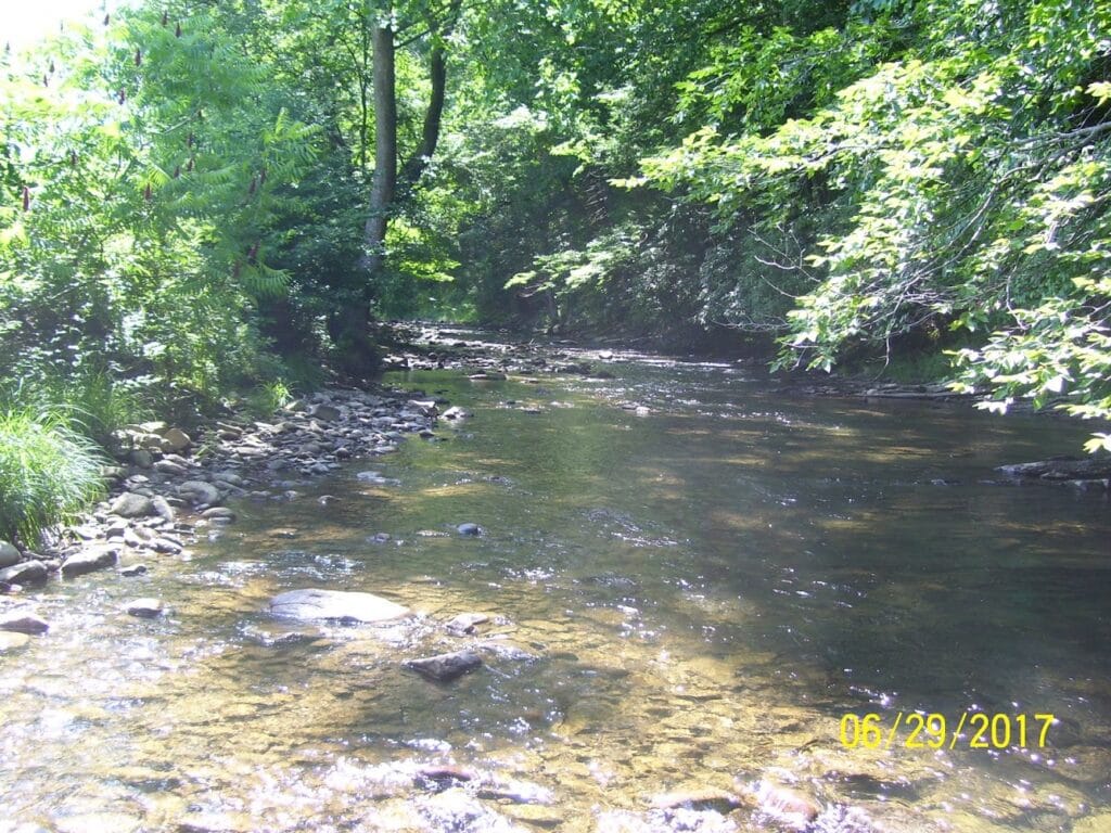 LEON G MALLOW SURVEYING INC.