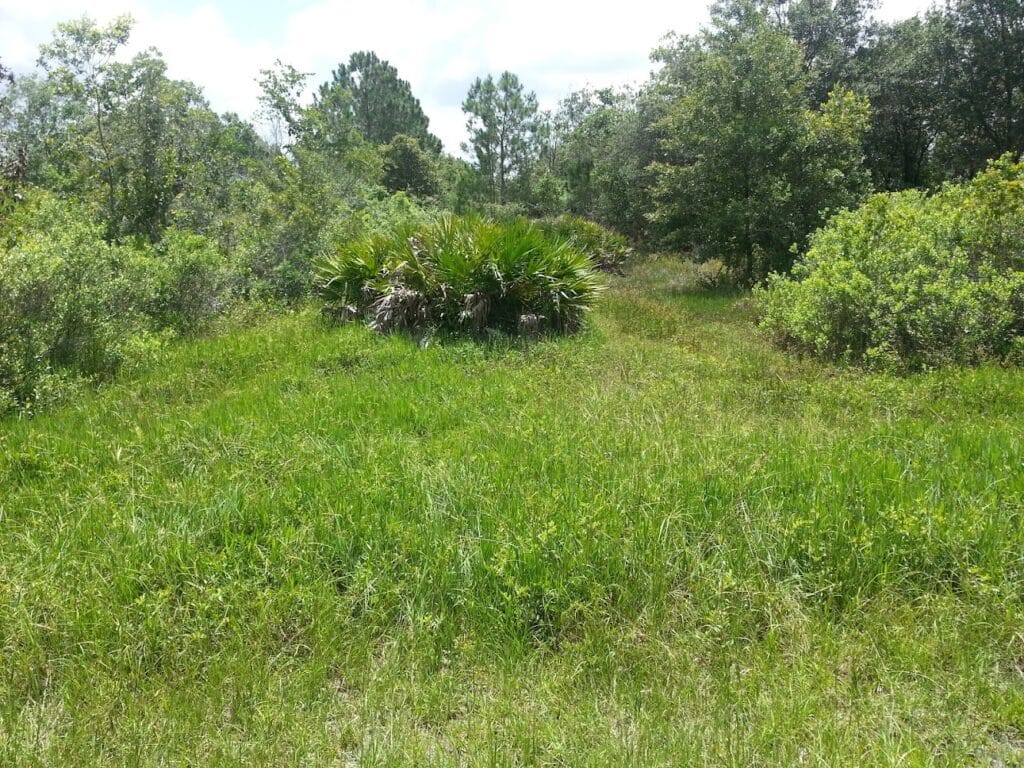 James D Blanton Land Surveying