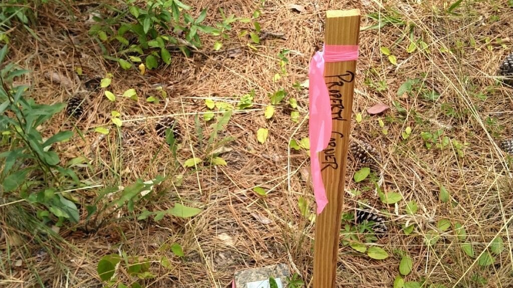 Drake Kinsaul Land Surveying