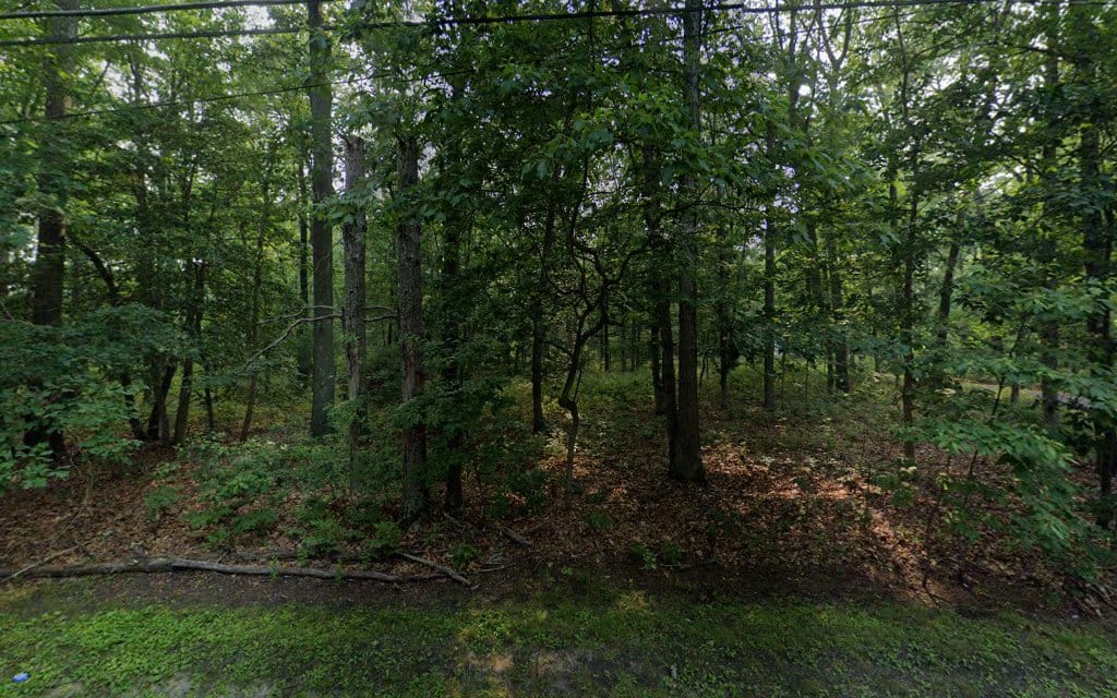 Albert N Floyd & Son