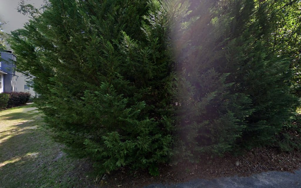 Jones Land Surveying Services