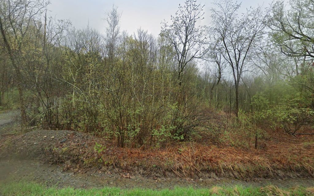 William C Darling Land Survey