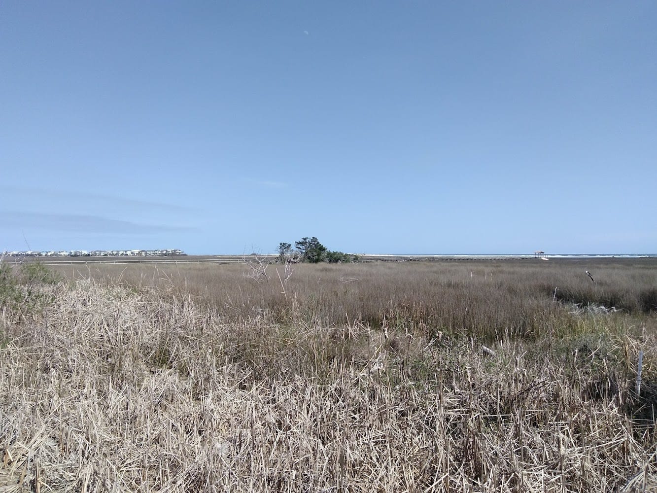 Engineering & Technical Services