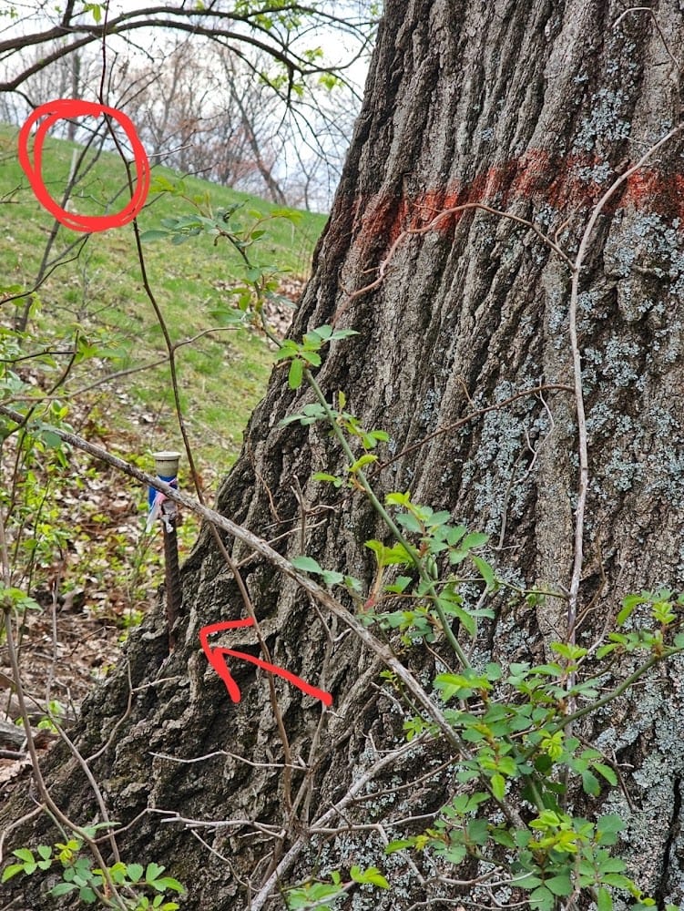 Cannon Land Surveying