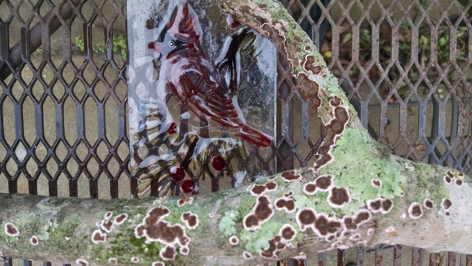 WRIGHT & ASSOCIATES – Land Surveyors