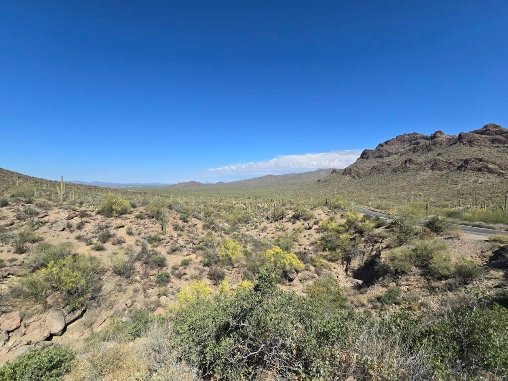 Cloyd Baltimore Registered Lnd