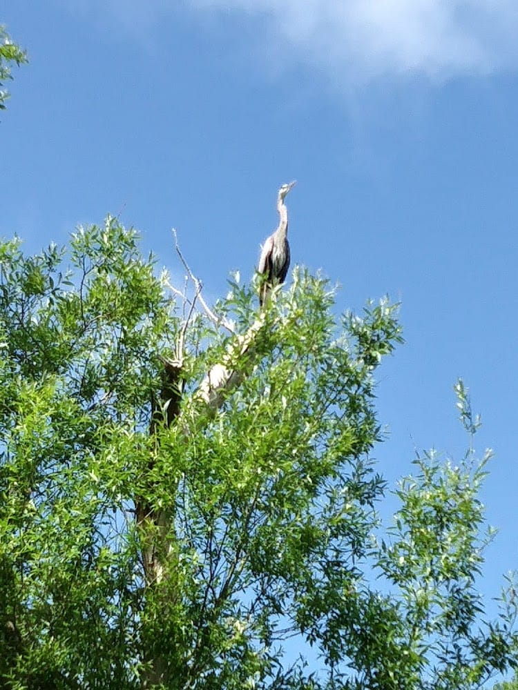 John Farren Pro Land Surveyor