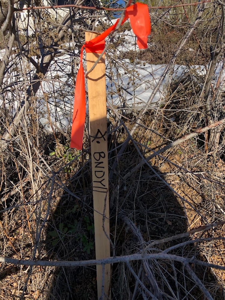 Timberline Surveying PLLC