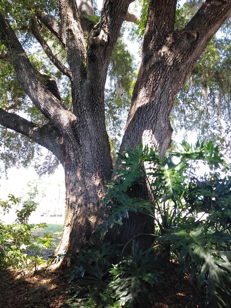 D W Hirst & Associates Inc