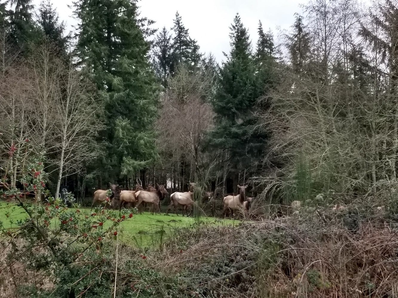 Benthin Land Surveying Inc.