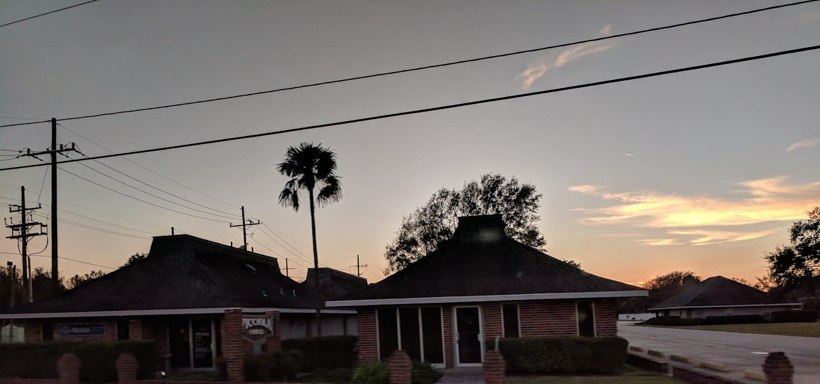 Picciola & Associates