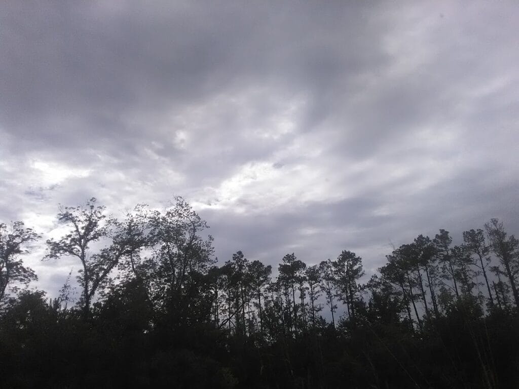 Beasley Land Surveying