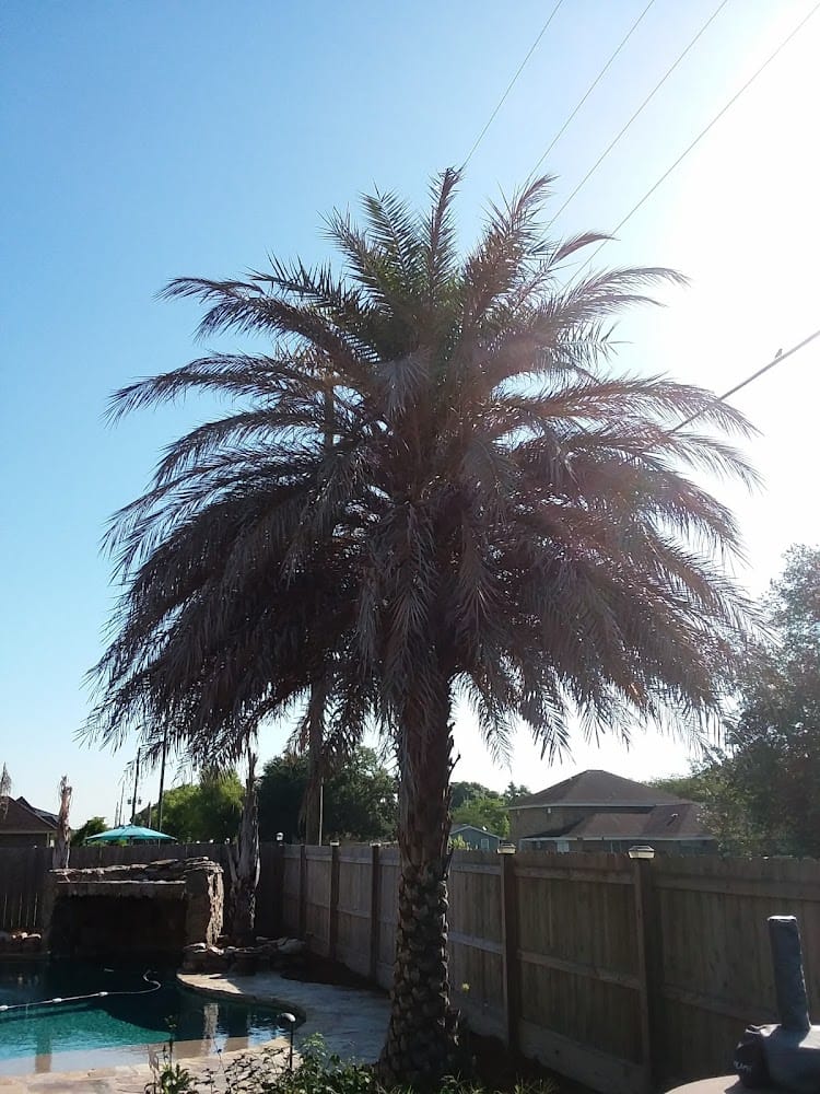 Gassen Surveying LLC