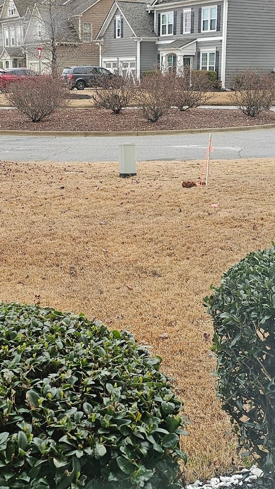 Tibbitts Land Surveying