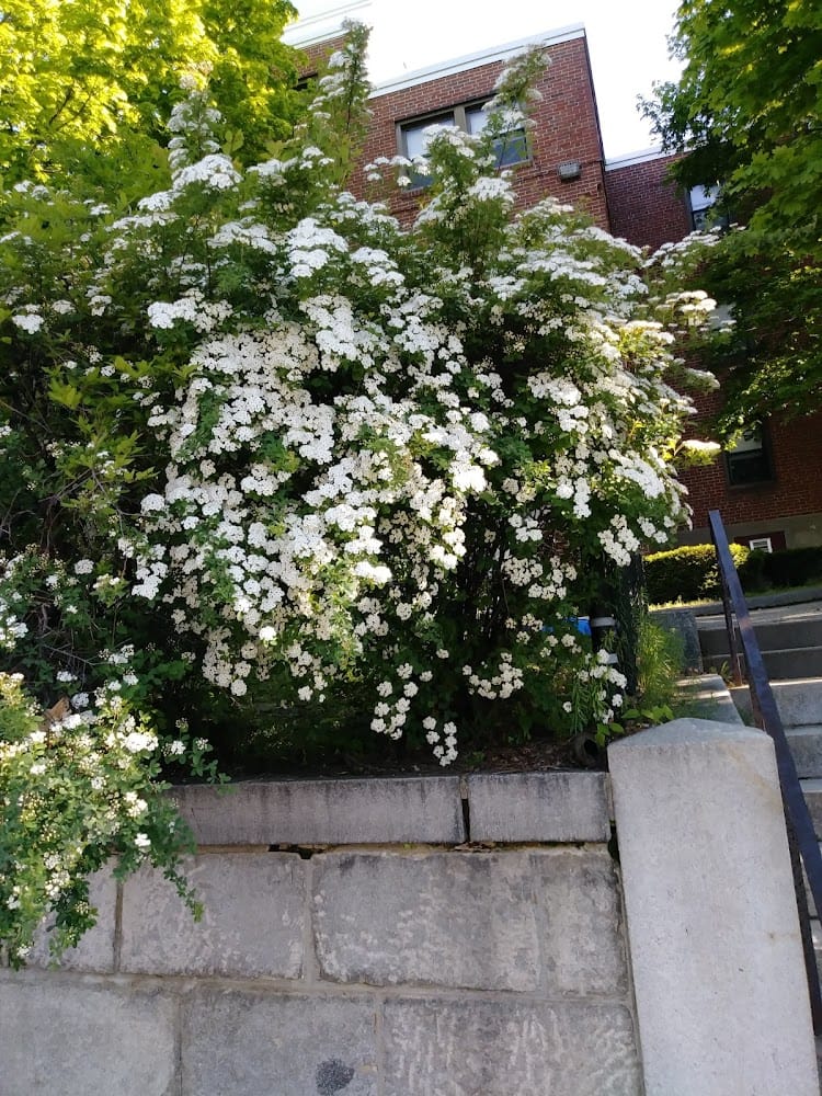 Christiansen & Sergi Inc