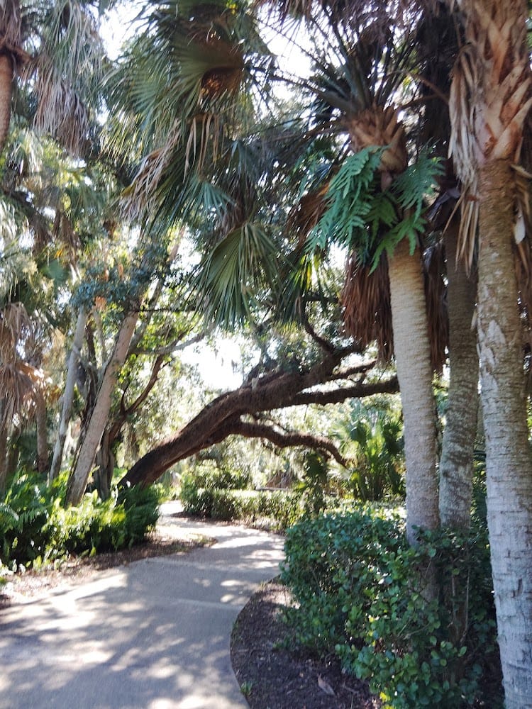 Charles Degraff Land Surveyor