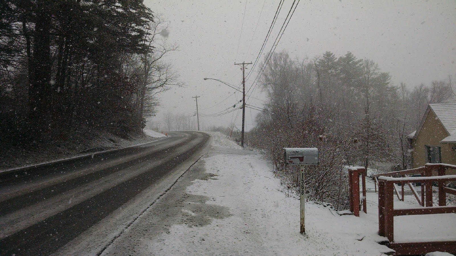 David B Scott Land Surveyor