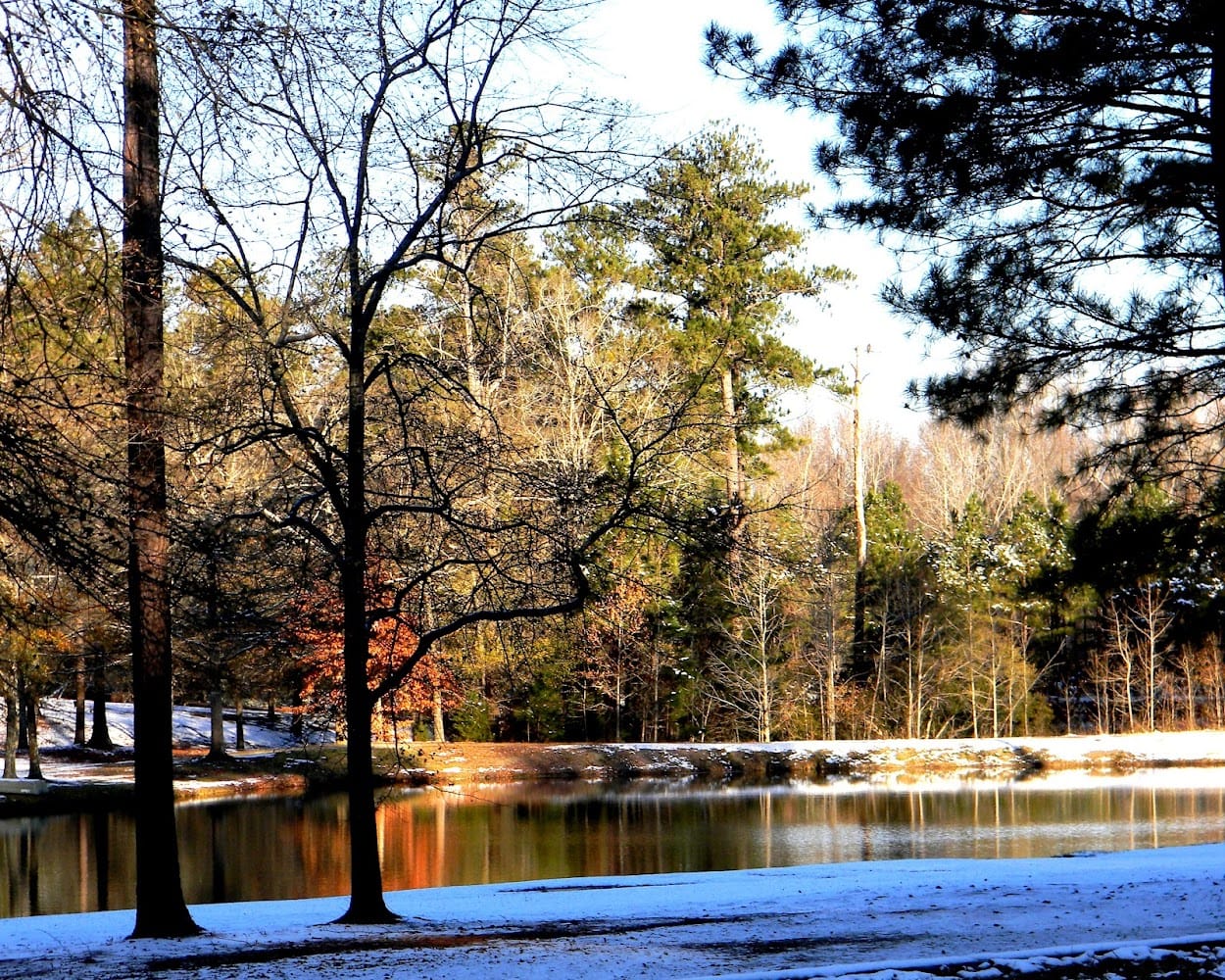 Woods Land Surveyors