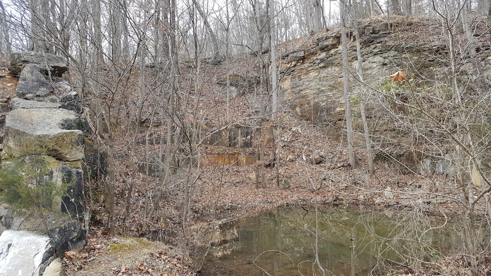 Michael D Arena Land Surveyor