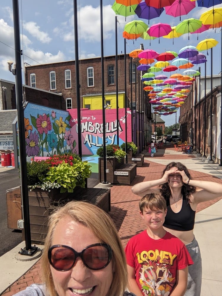 Constitution Land Surveying