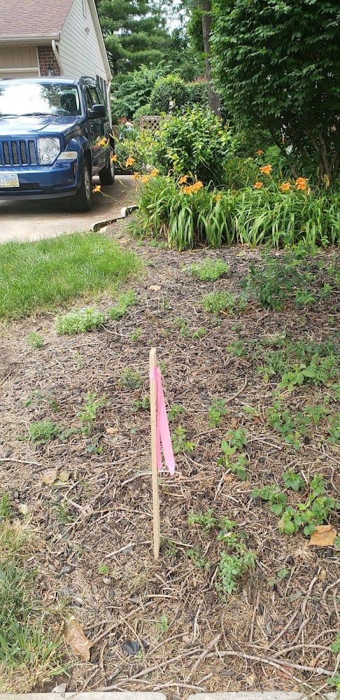 Landmark Survey Group Inc