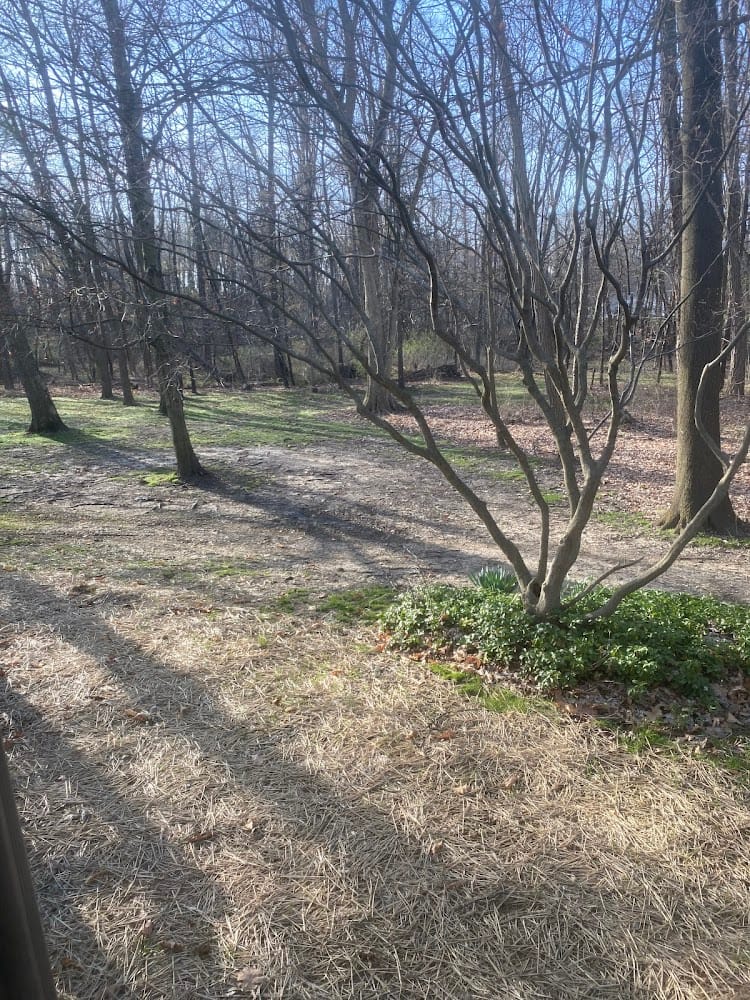 Casey Professional Services LLC