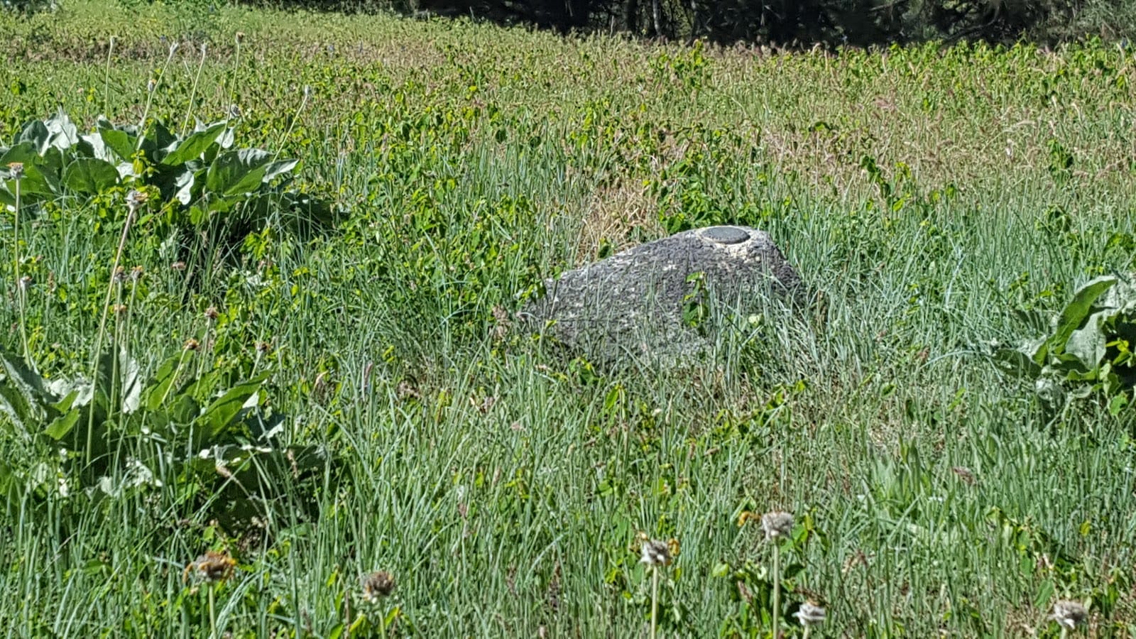 Quartzite Summit USGS Marker